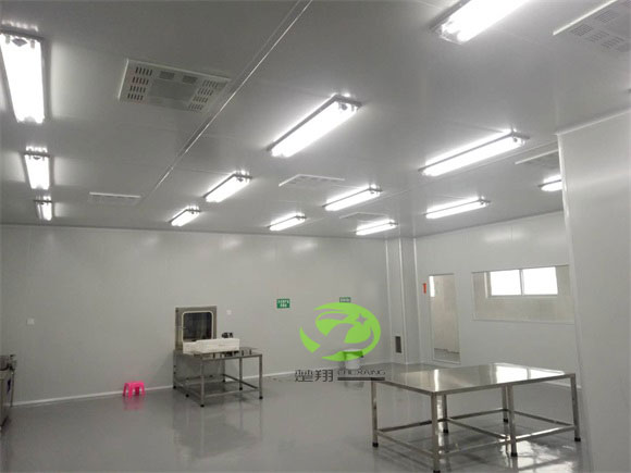 郴州福鹅食品麻豆视频APP车间装修工程(图4)