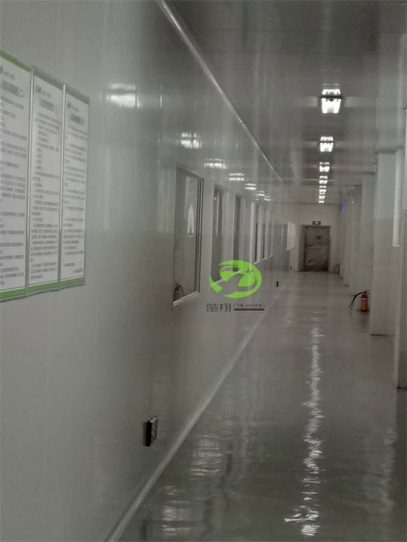 郴州福鹅食品麻豆视频APP车间装修工程(图10)